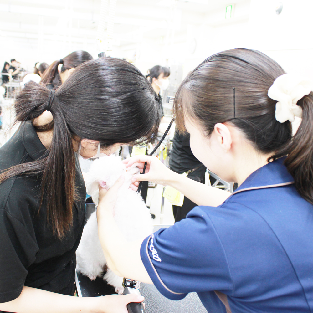毎日が勉強の連続！